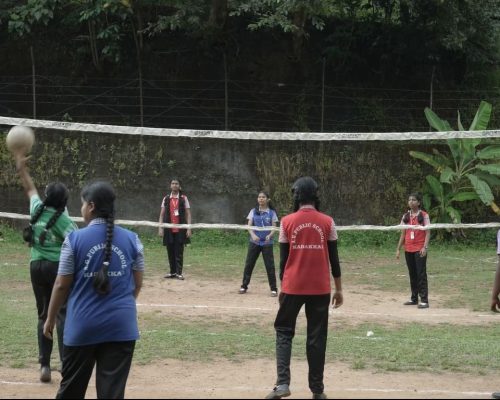 VOLLYBALL